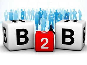 京東B2B電子銷售 為何能在阿里失手處成功？